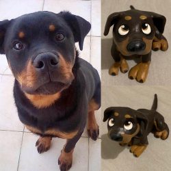 Cani de coccio su misura